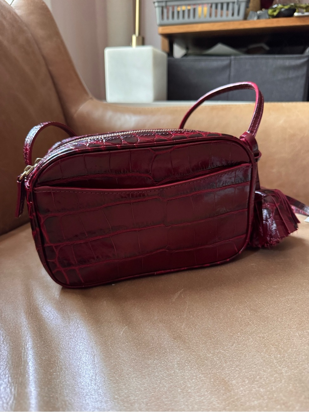 Zara Genuine Leather Croc-Embossed Crossbody Camera Bag in Deep Red luxe NWT